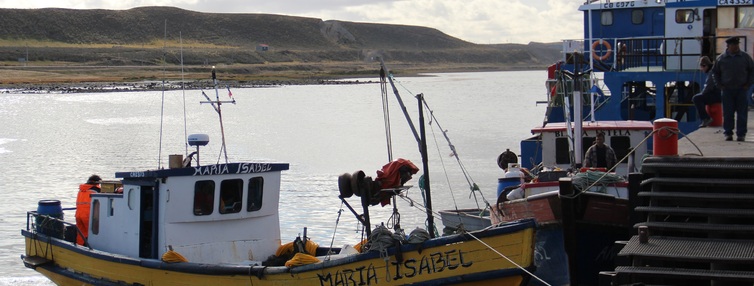 Pescadores artesanales de Magallanes recibirán aporte solidario