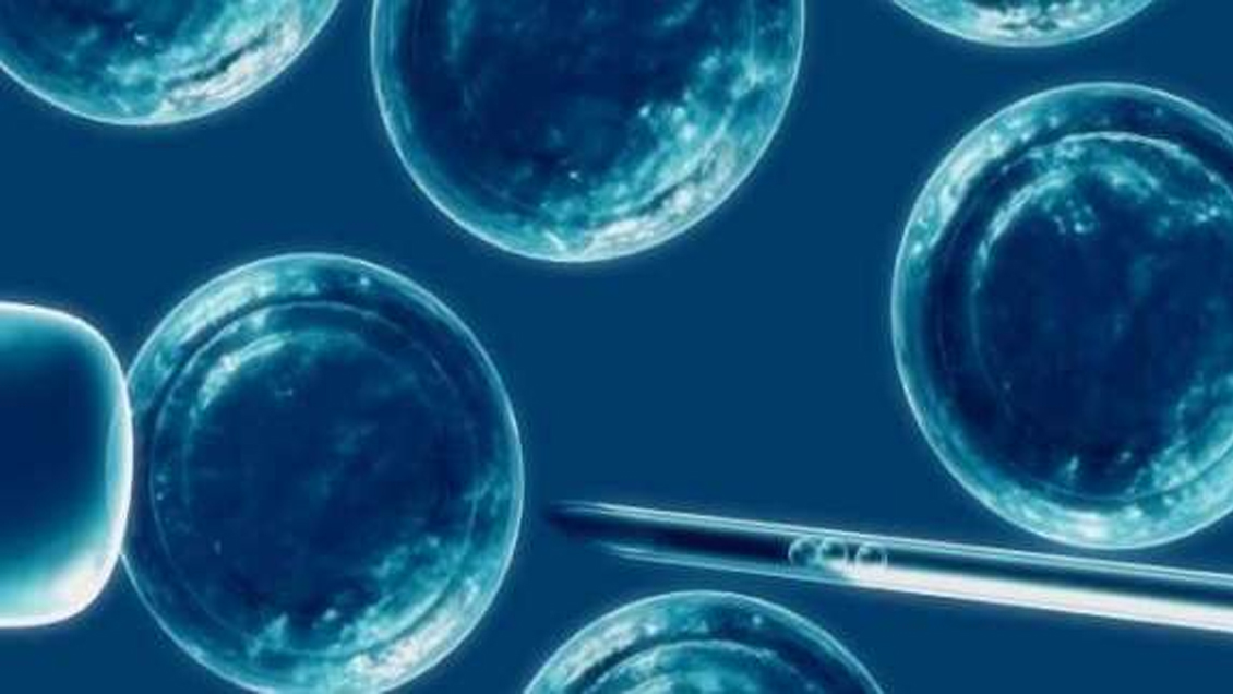 Más de 50.000 chilenos se han inscrito para ser donantes de células madre