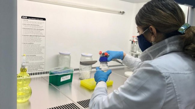 Universidad de Aysén recomienda aumentar número de exámenes para evitar brotes