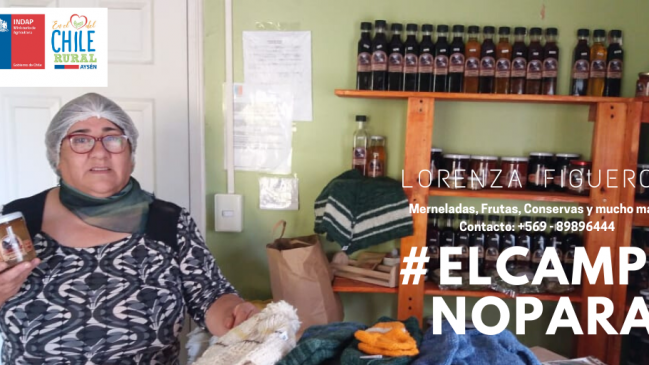 Mercado Online: Campesinos de Aysén ofrecen productos a través de internet