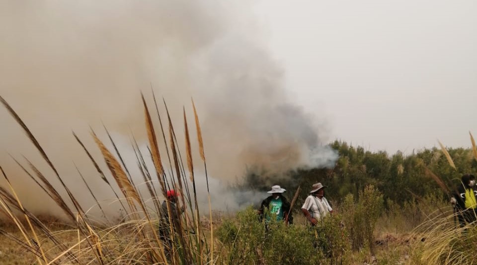 Arica y Parinacota: Incendio forestal en el valle de Camarones afectó 18 hectáreas