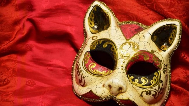 Ex militar fue liberado de la cárcel por el coronavirus e hizo una fiesta de disfraces en Argentina