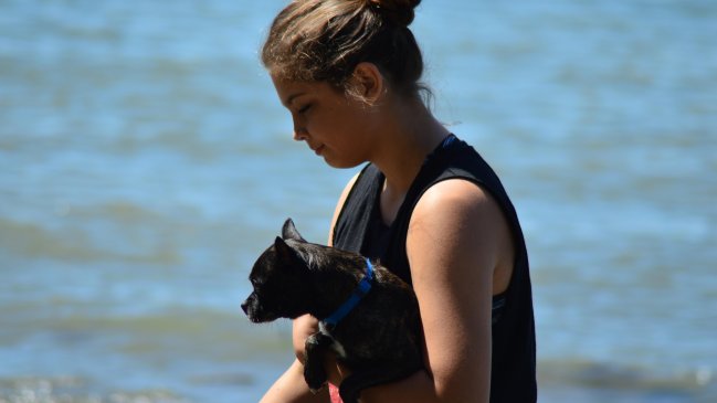 Compras, paseo de mascotas y pago de servicios lideran los más de 30 mil permisos temporales en Tarapacá