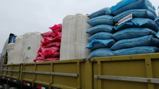 Detienen en Arica a banda criminal que robaba alimento de salmones para comercializarlo en Perú