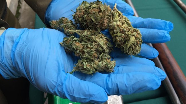 Cuatro detenidos por tráfico de drogas y porte ilegal de armas en Linares