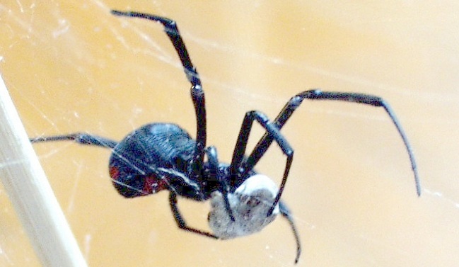 Imagen foto_00000002