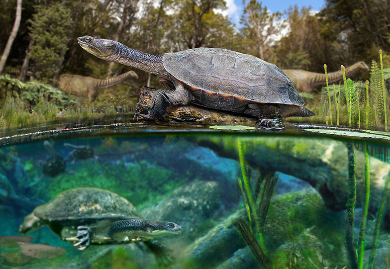 Imagen foto_00000017