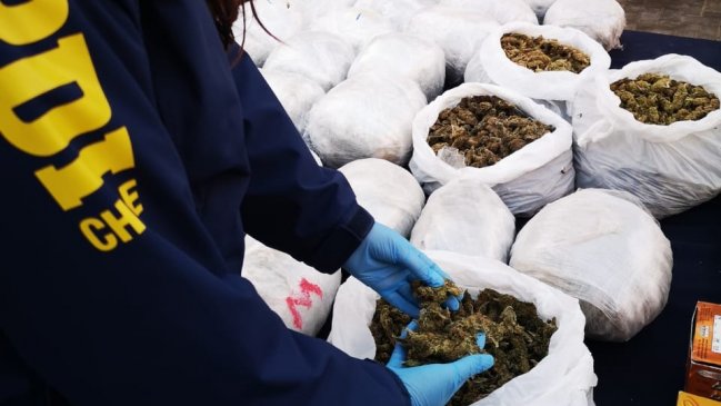 Detuvieron a siete miembros de una familia acusados de cultivo y distribución de marihuana