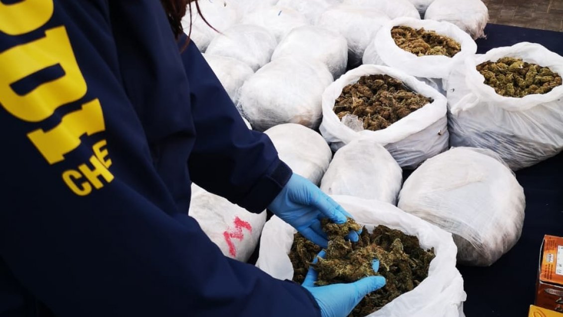 Detuvieron a siete miembros de una familia acusados de cultivo y distribución de marihuana