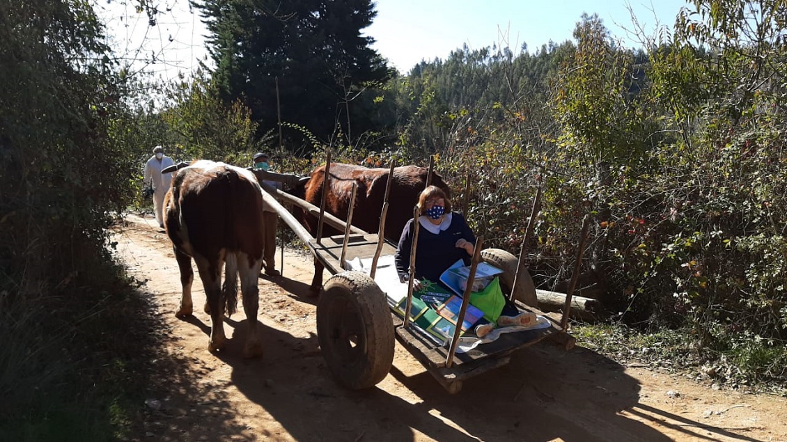 Profesora va en carreta a lugares apartados para entregar material educativo a alumnos sin internet