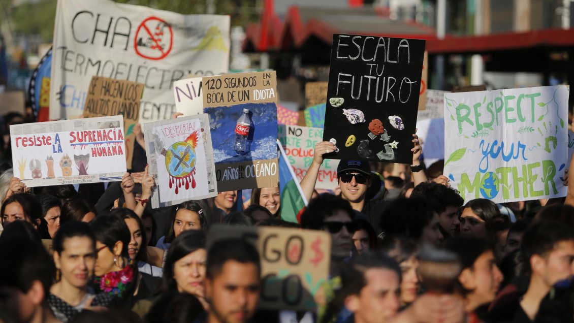 Estudio: 13% de los activistas ambientales son asesinados