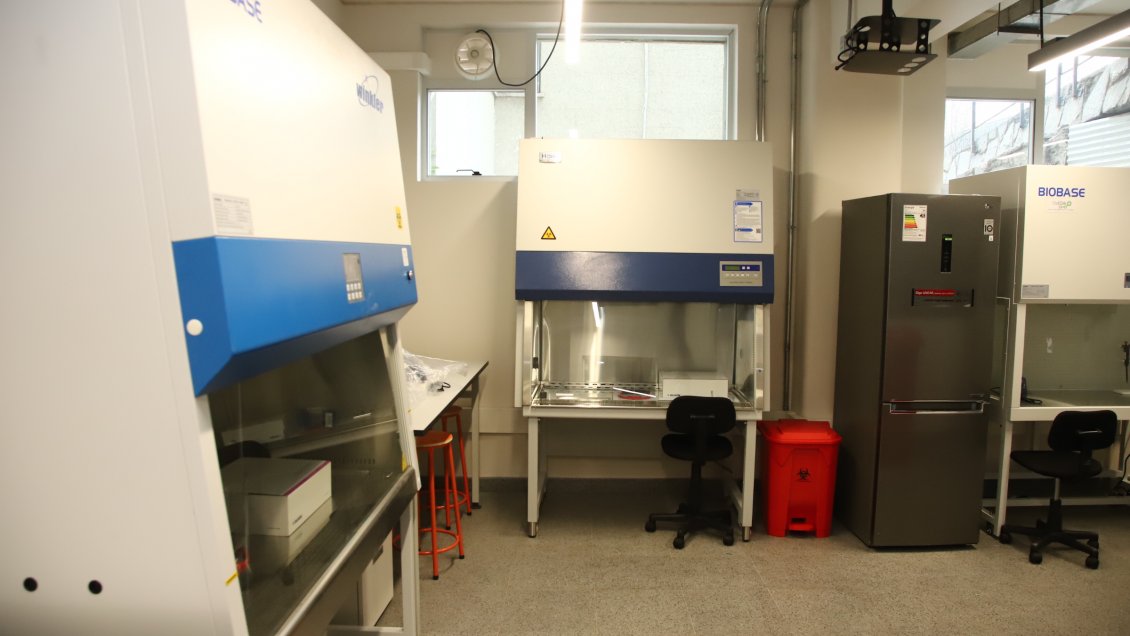 Ministerio de Salud autoriza procesamiento de exámenes PCR en laboratorio de la Universidad de O'Higgins