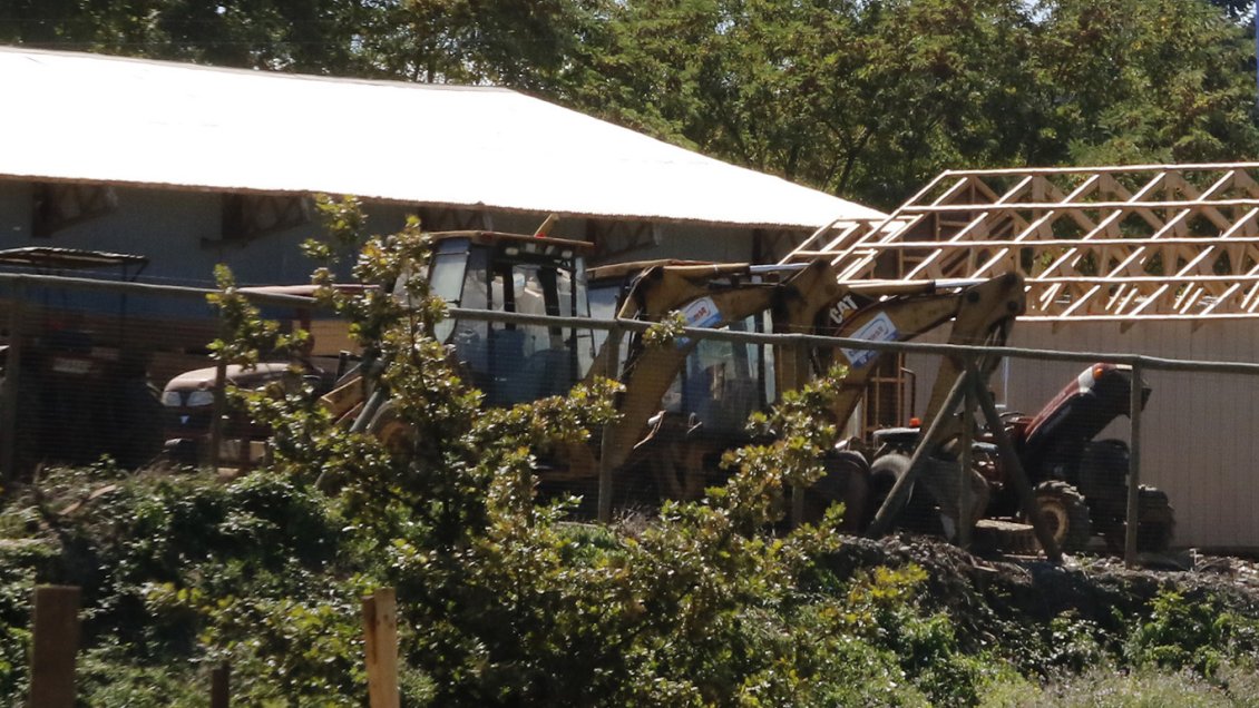 Diputado UDI pide fiscal especial para investigar 