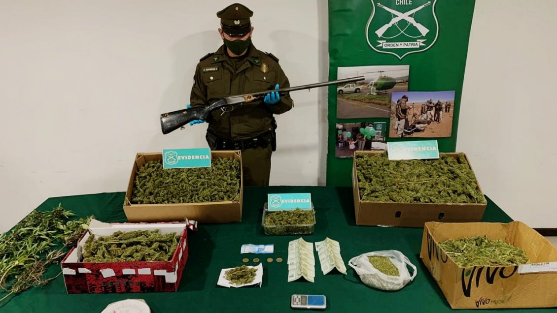 Carabineros incautó 11 mil dosis de marihuana y armamento en Salamanca