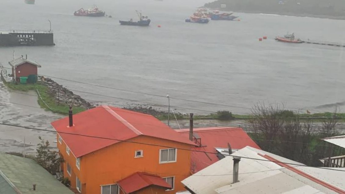 Inician sumarios sanitarios por embarcación que zarpó sin esperar resultados de exámenes PCR