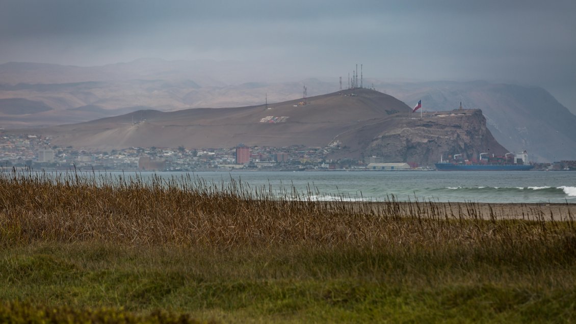 Denuncian construcción en zona protegida del humedal del río Lluta en Arica