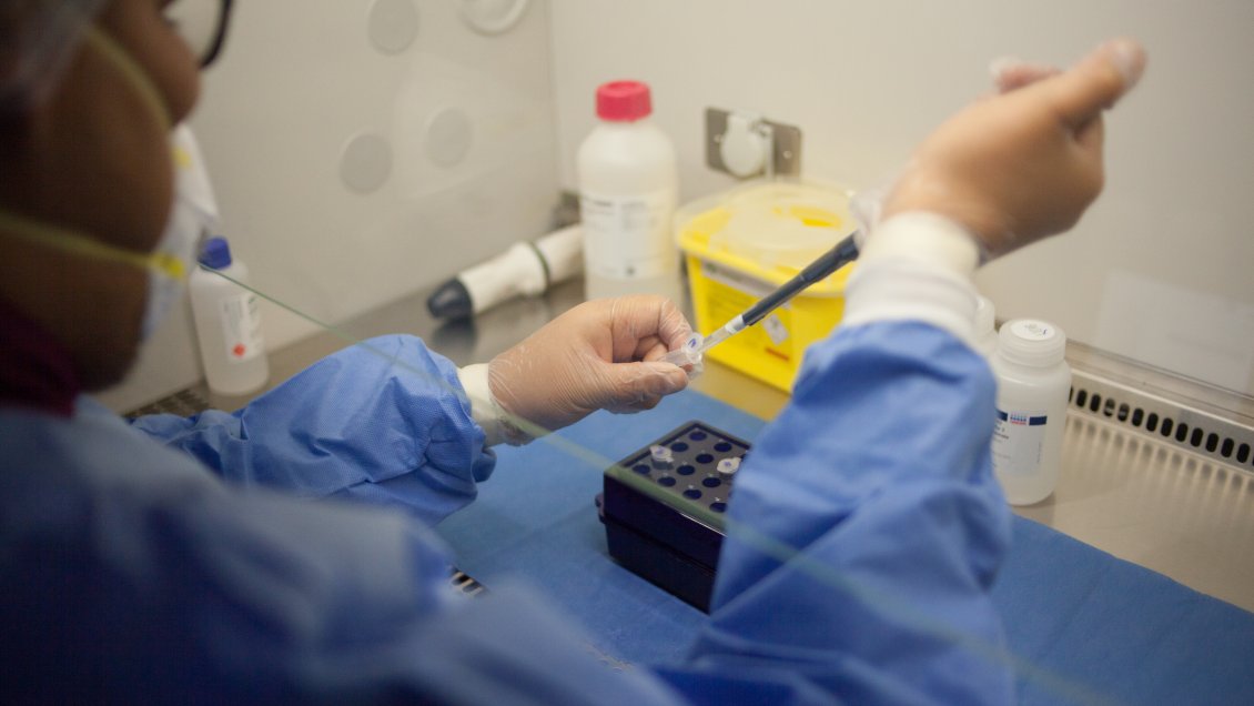 Región de Coquimbo cuenta con nuevo laboratorio para muestras de PCR