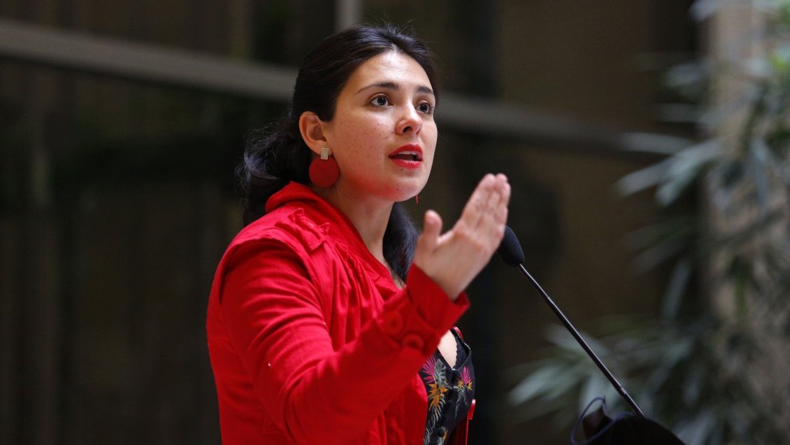 Cariola por límite a la reelección: La ley 