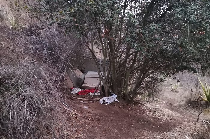 Imagen foto_00000002