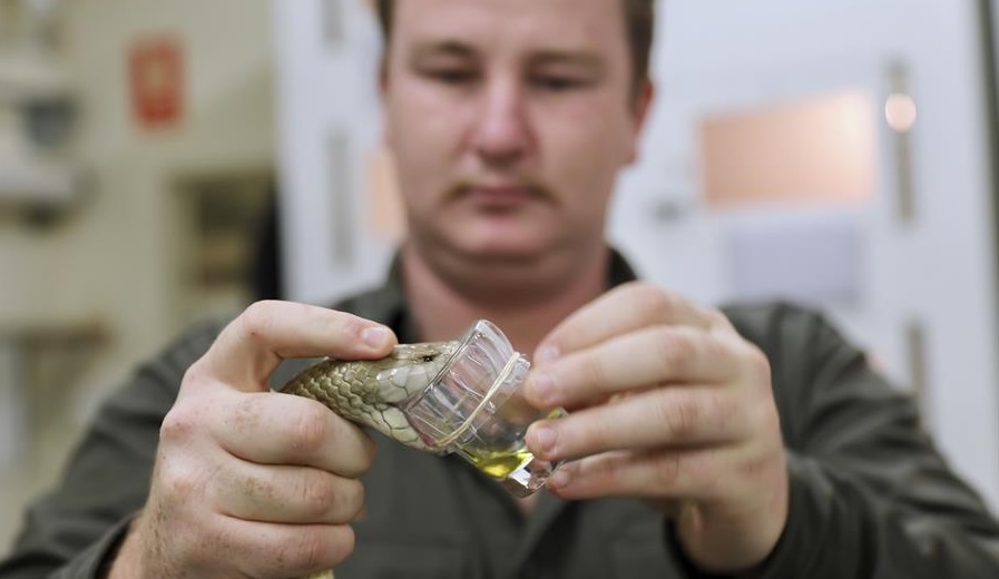 Imagen foto_00000002