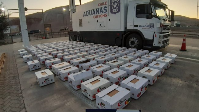 Conductor quiso camuflar millonario contrabando de cigarrillos en camión con paltas peruanas