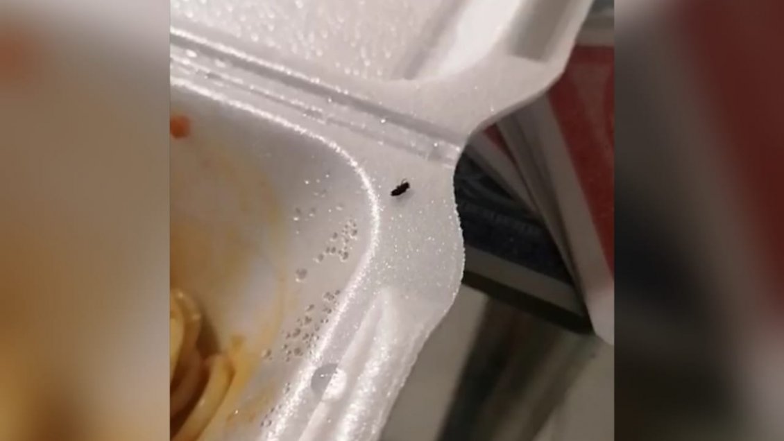 Paciente en residencia sanitaria acusó presencia de insectos en su comida