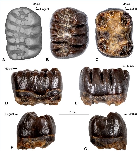 Imagen foto_00000001