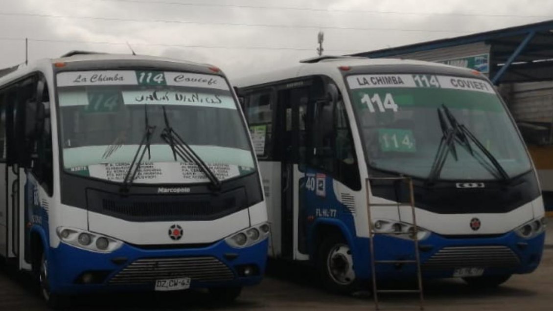 Trece conductores del TransAntofagasta dieron positivo en test rápido de coronavirus