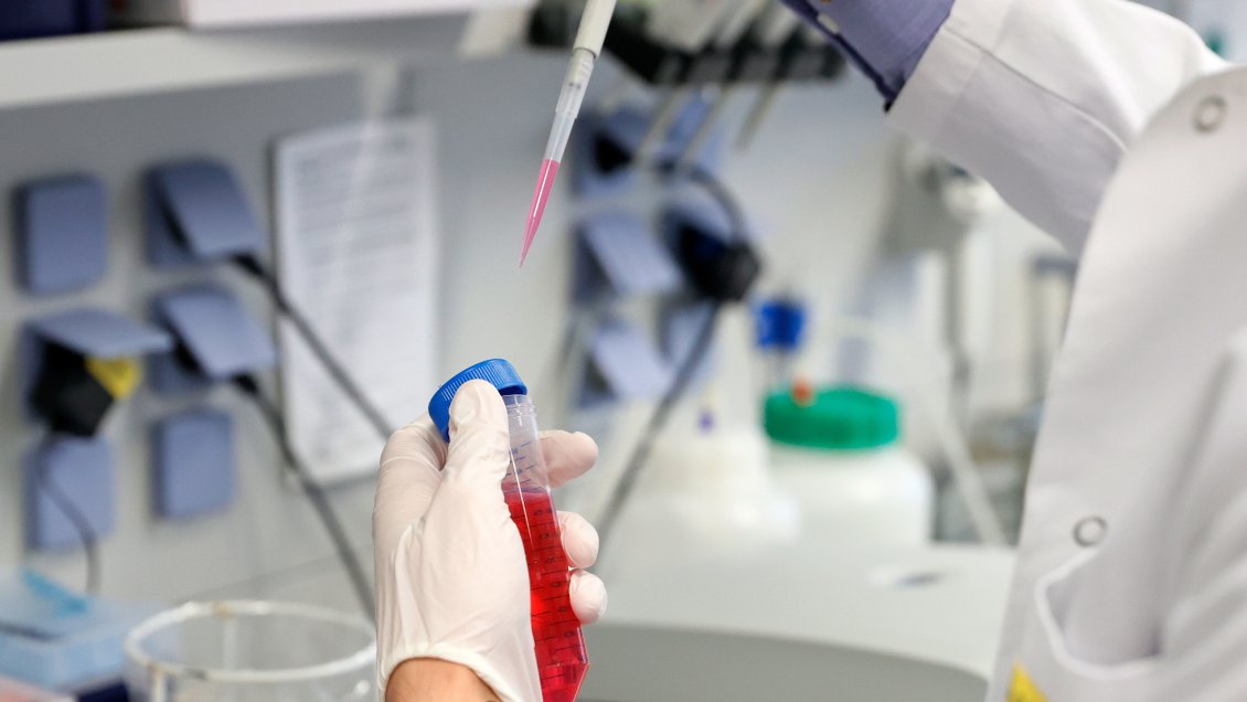 Reino Unido, China y EEUU lideran la carrera por la vacuna contra el Covid-19