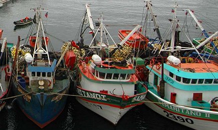 Pescadores artesanales de Coronel hacen cuarentena a bordo de sus embarcaciones