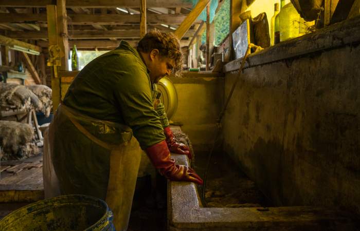 Imagen foto_00000002