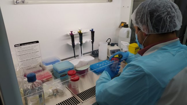 Autorizan funcionamiento de primer laboratorio público para el análisis de muestras PCR en Aysén