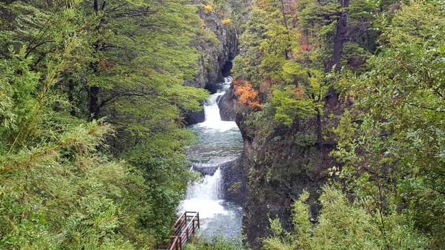Intensas lluvias han permitido recuperación de agua en cauces históricos del país