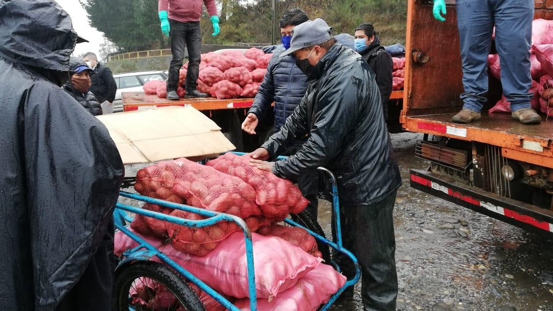 Comunidades mapuche y agricultores del Biobío donaron 8,5 toneladas de papas para ollas comunes