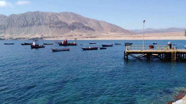 Pescadores, mariscadores y buzos podrán trabajar durante la Cuarentena en la Región de Antofagasta