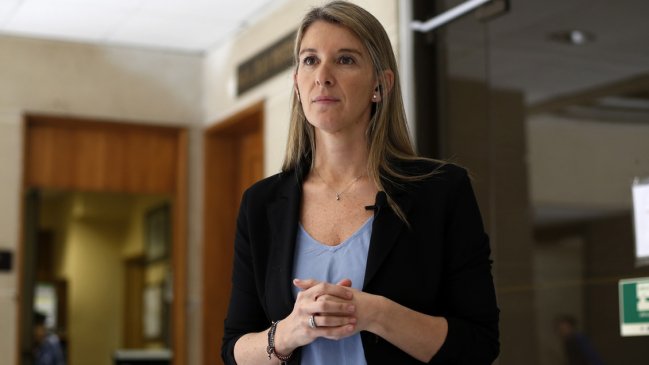 Diputada Sabat: Postnatal de emergencia es la mejor alternativa porque no precariza a las madres