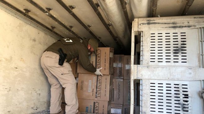 Millonario contrabando de cigarrillos quedó al descubierto en Antofagasta