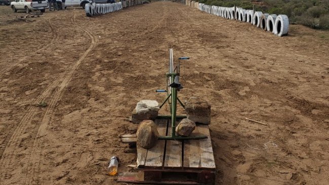 Los Vilos: 12 detenidos por carreras clandestinas de perros