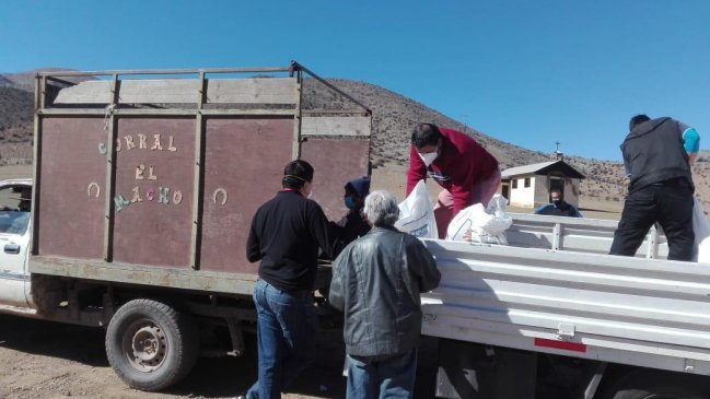 Crianceros de La Serena recibirán 85 toneladas de maíz