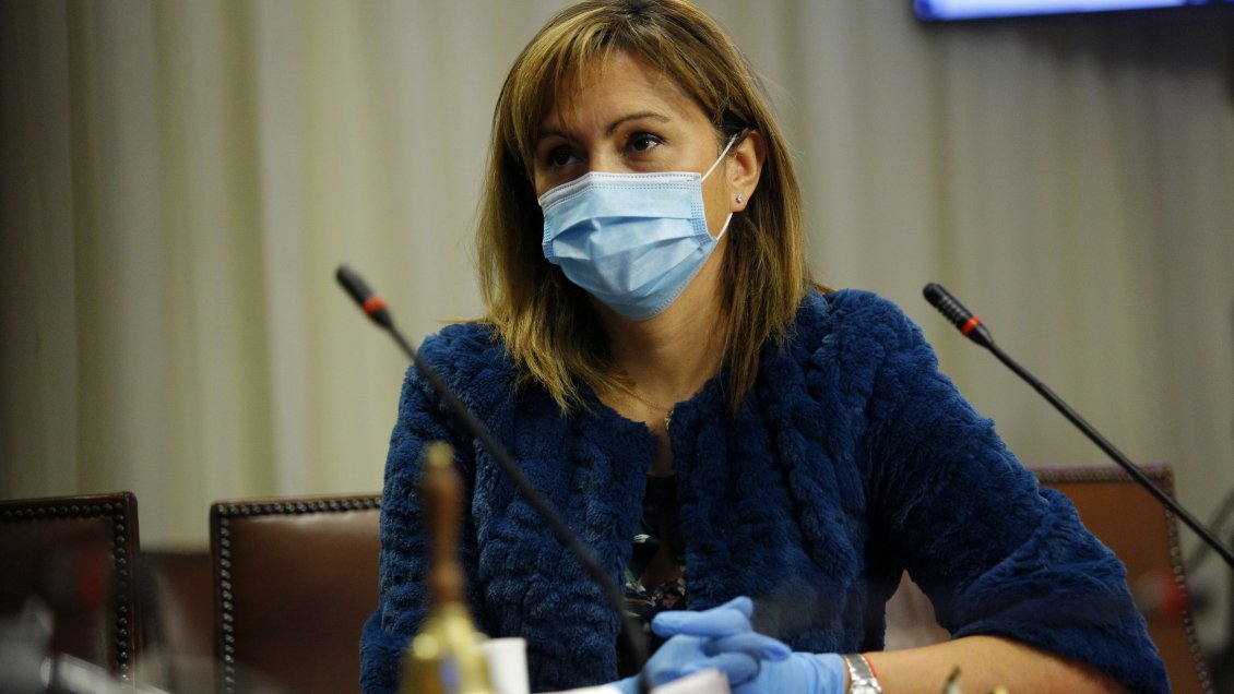 Diputada Carvajal provocó escozor en el PPD y Frente Amplio por veto a Jorge Brito