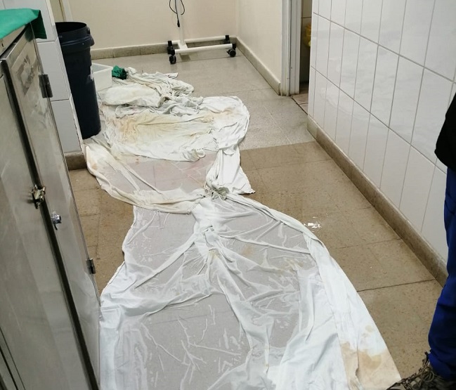 Goteras en pabellones: Fenats denunció graves falencias en Hospital de Curanilahue