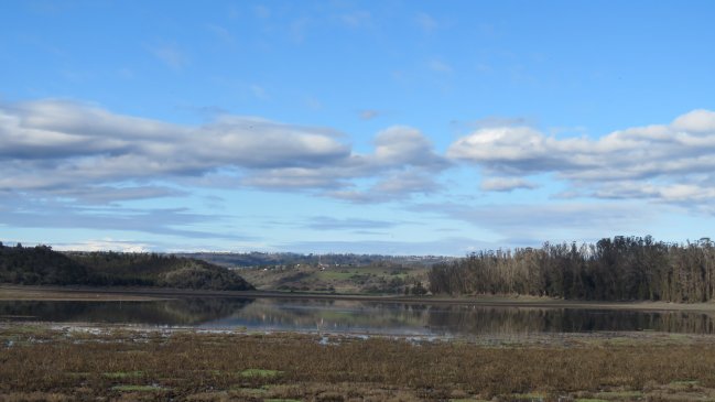 Reserva Nacional El Yali vuelve a lucir agua tras dos años de sequía