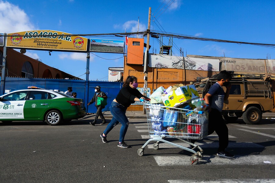 Arica: Clausuran Terminal Agropecuario por incumplimiento de normas sanitarias