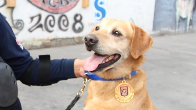 Arica llora la muerte de 