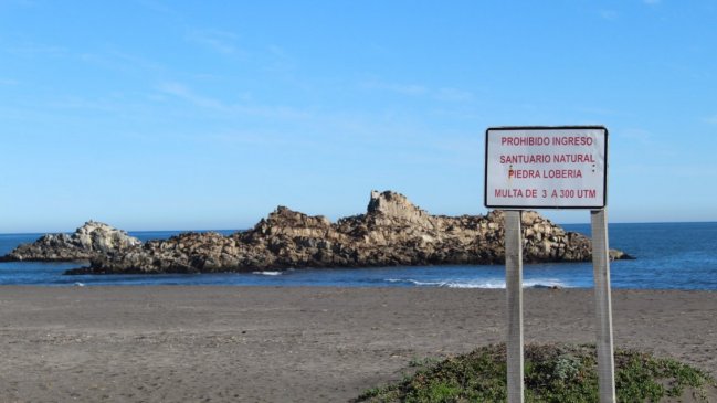 Conforman mesa para la protección patrimonial de la Lobería e Iglesia de Piedra en Cobquecura