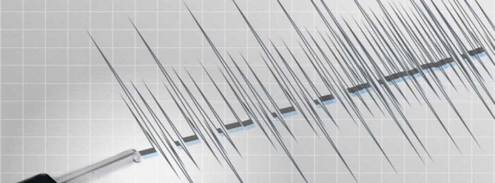 Covid-19 generó el mayor período de silencio sísmico registrado