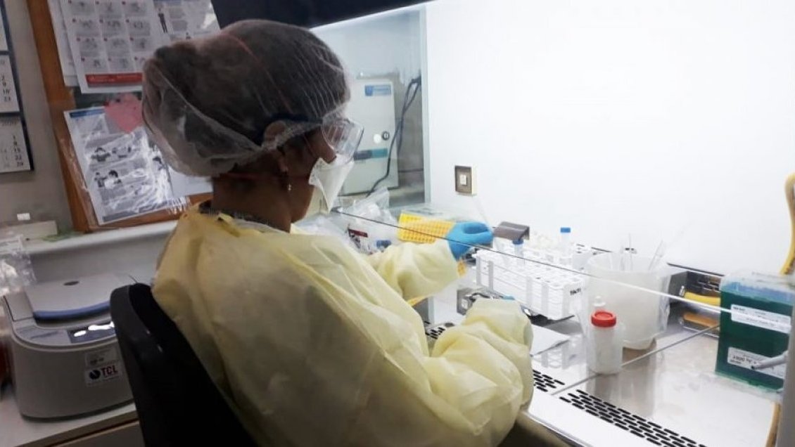 Más de 30 mil exámenes de PCR se han procesado en el laboratorio del Hospital de Chillán