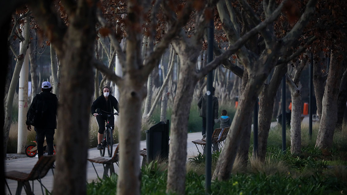 Minsal incorpora unas recomendaciones del Consejo Asesor a criterios del plan 