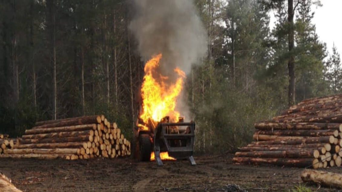 Nuevo ataque incendiario en Arauco: Empresa acusa mil millones en daños