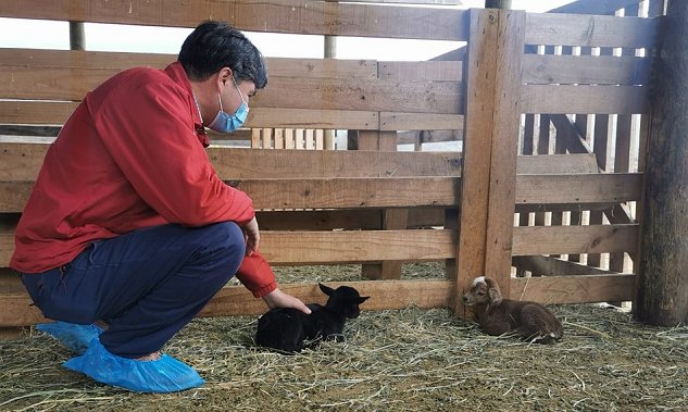 Imagen foto_00000001